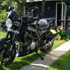 Suzuki SV1000N