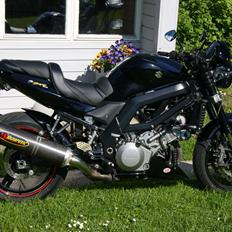 Suzuki SV1000N