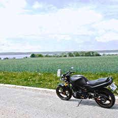Suzuki GS500E