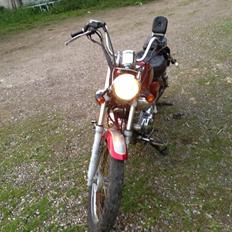 Ledow Borelli Milano CXM250A