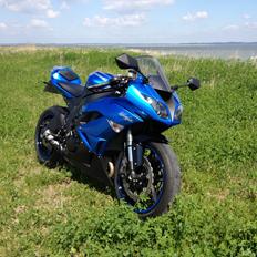 Kawasaki ZX6R