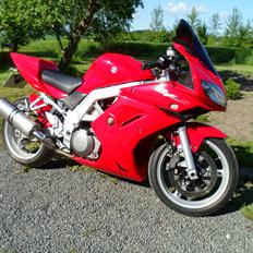 Suzuki SV 1000 S
