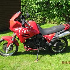 Triumph tiger 900 steamer :-)