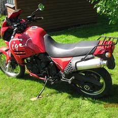 Triumph tiger 900 steamer :-)