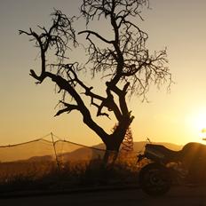 Triumph Street Triple