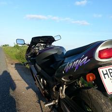 Kawasaki zx9r Ninja  "DøD"