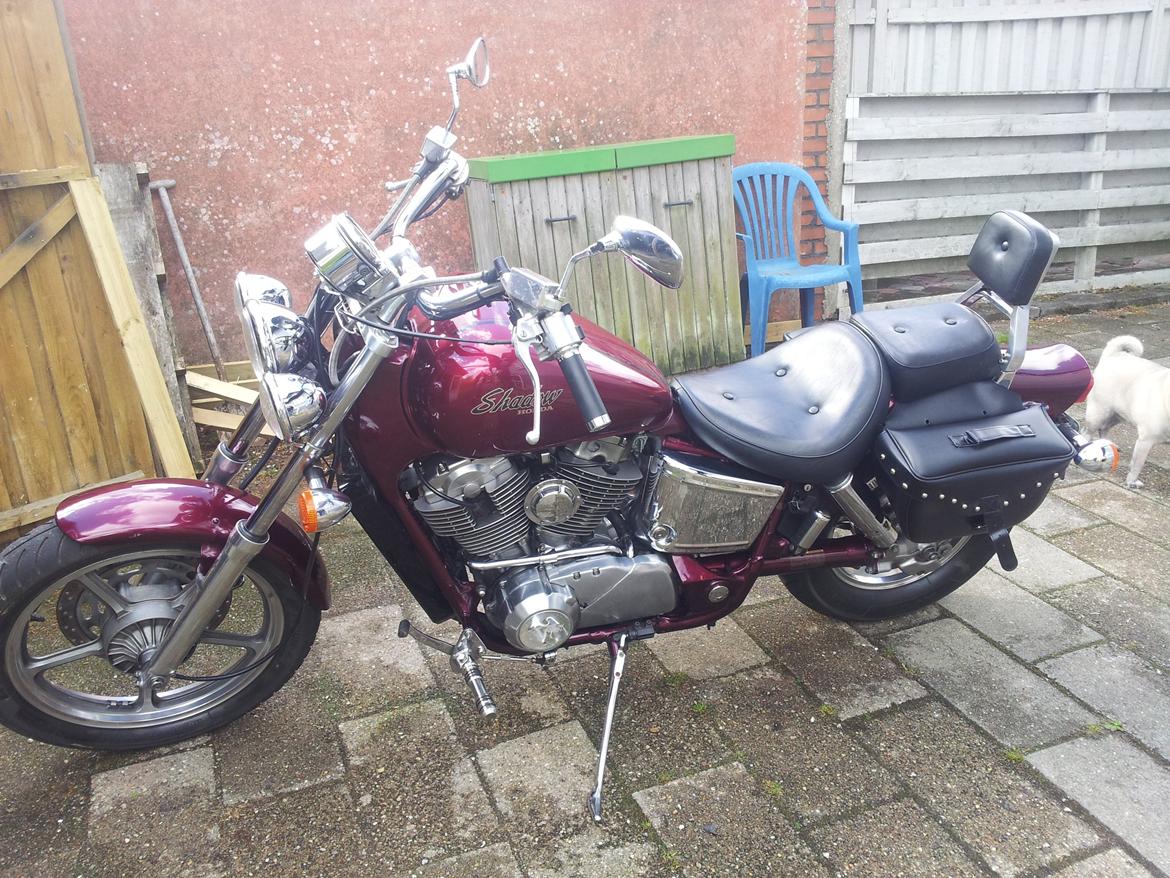 Honda vt 1100 shadow billede 11