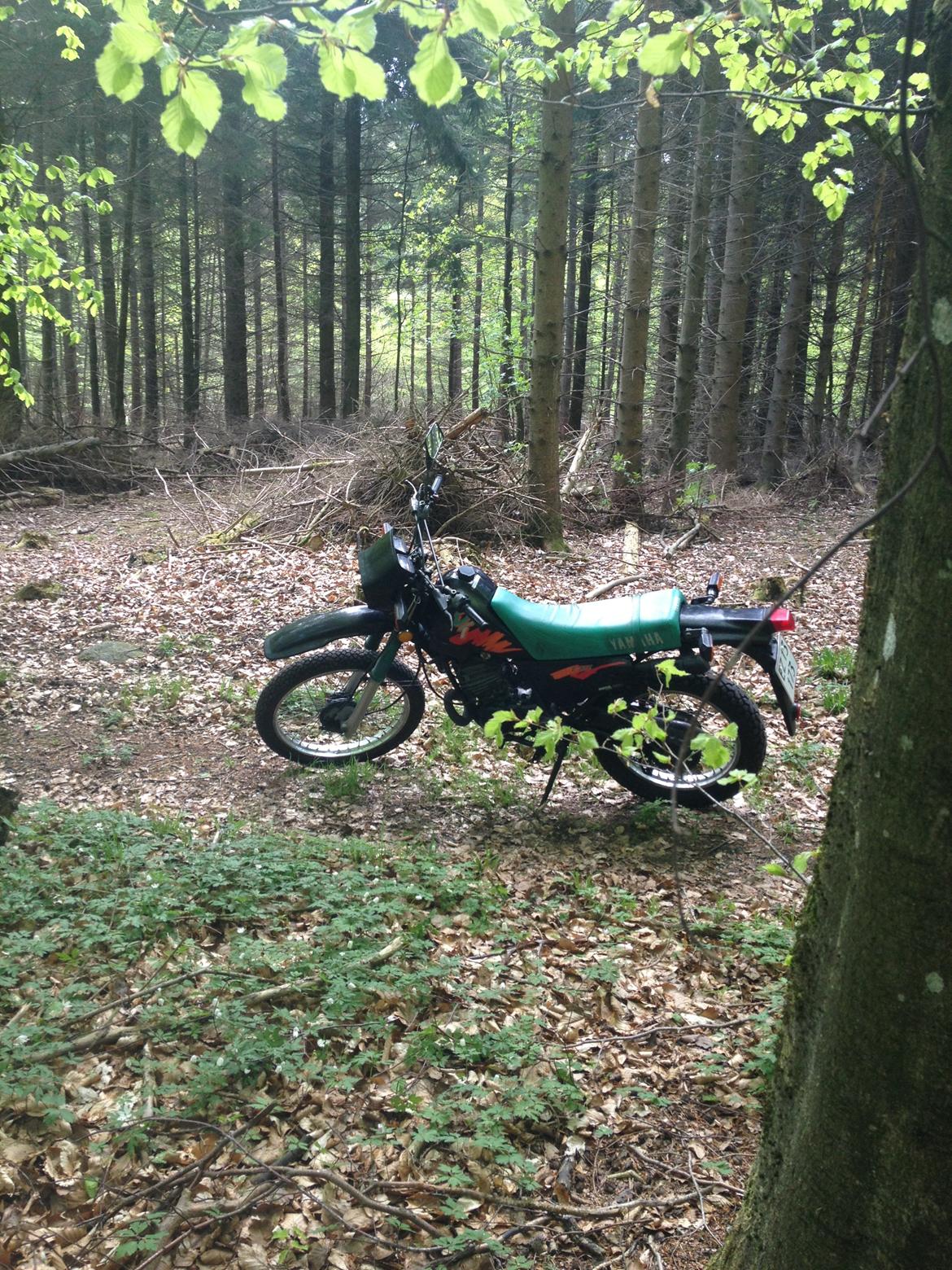 Yamaha DT 175 billede 6