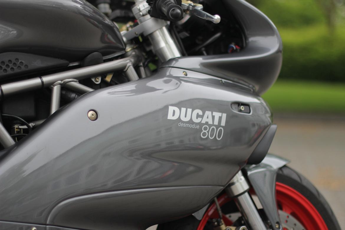 Ducati 800 SS  billede 6