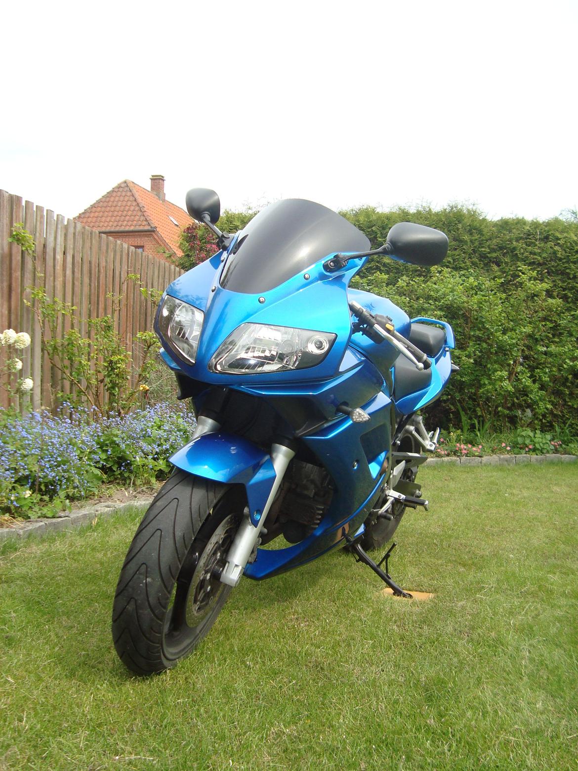 Suzuki SV 650s K6 billede 5