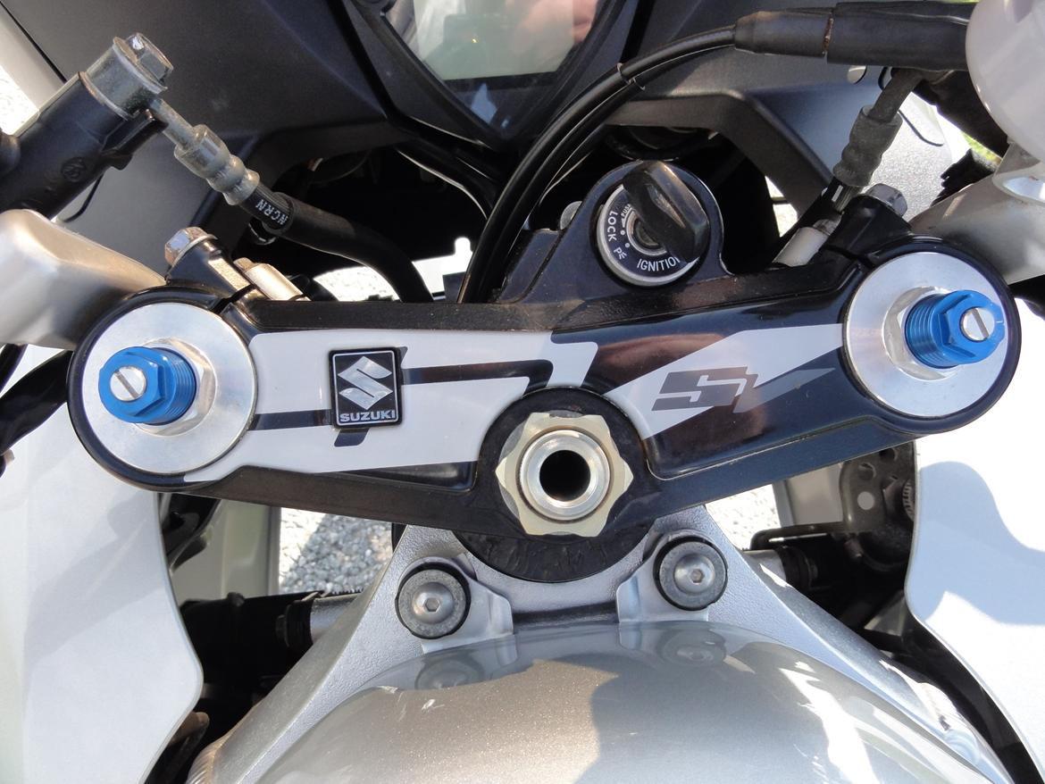 Suzuki SV 1000 S billede 19