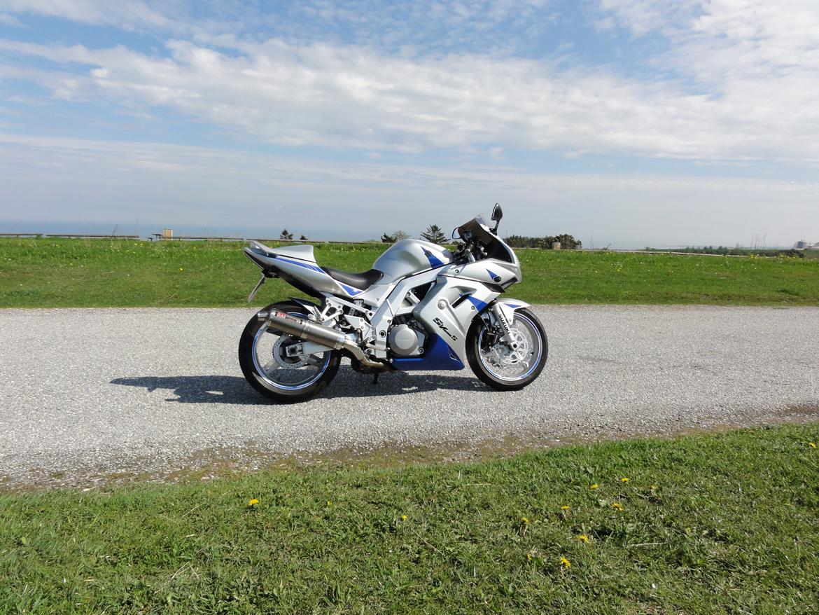 Suzuki SV 1000 S billede 3