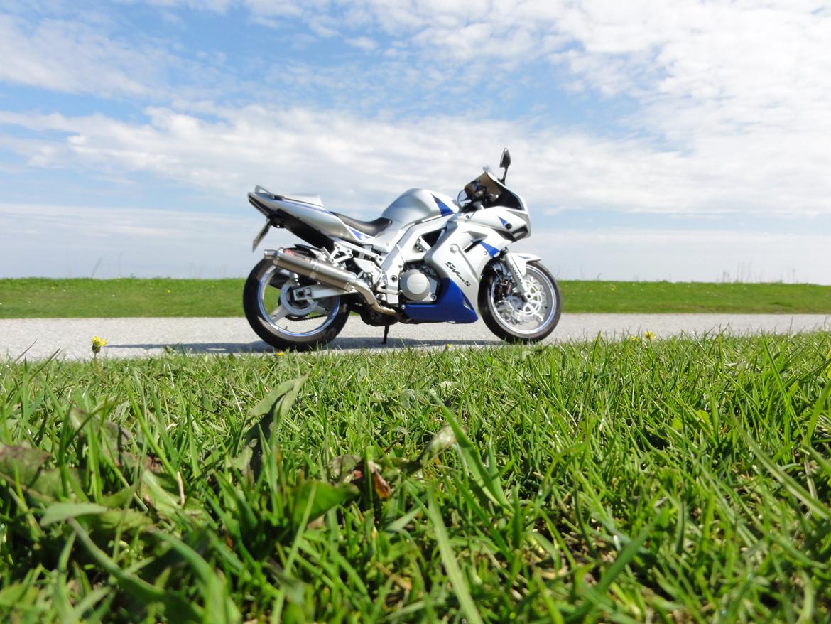 Suzuki SV 1000 S billede 2