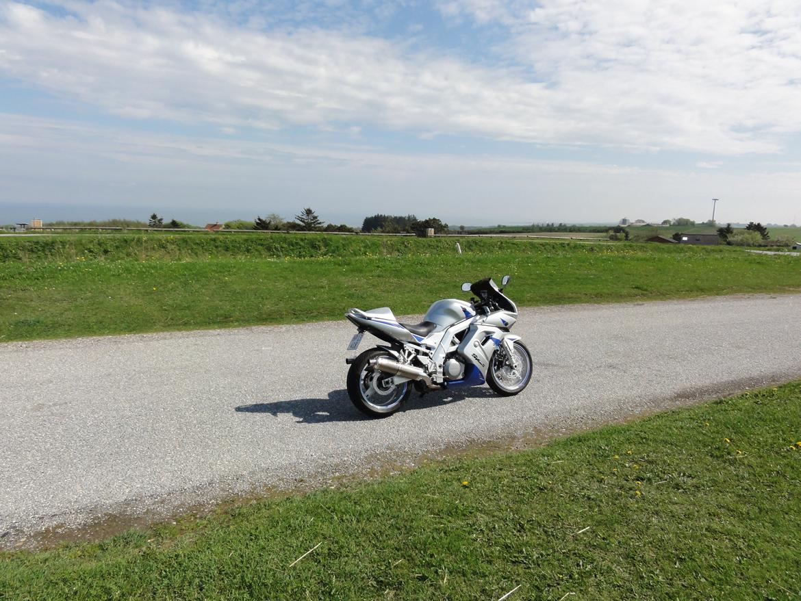 Suzuki SV 1000 S billede 9