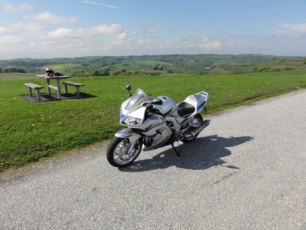 Suzuki SV 1000 S billede 10