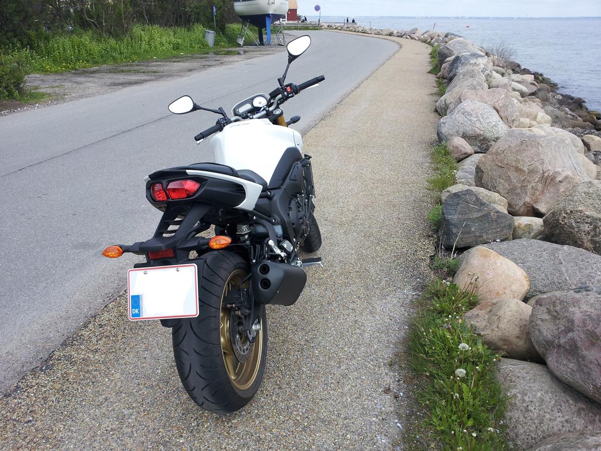 Yamaha FZ8-N billede 9