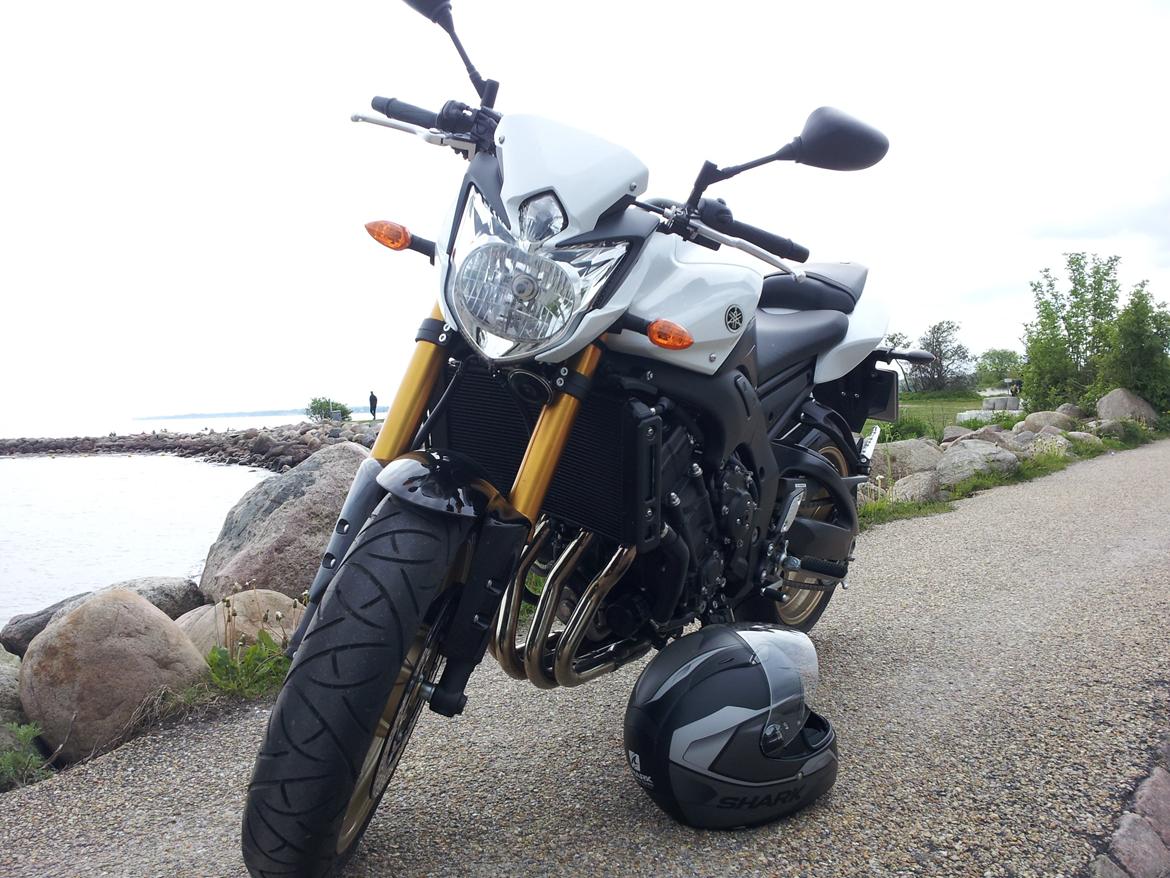 Yamaha FZ8-N billede 10