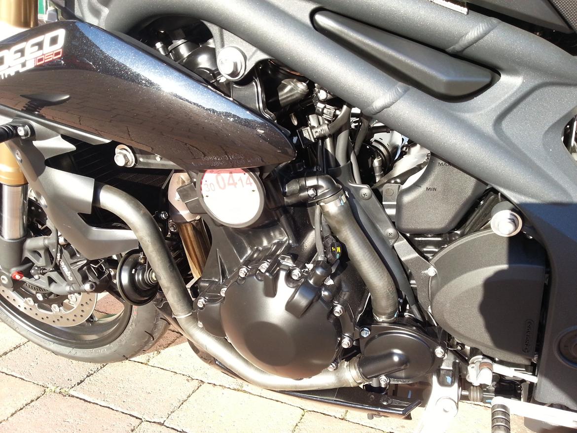 Triumph Speed Triple aka Space Monkey billede 4