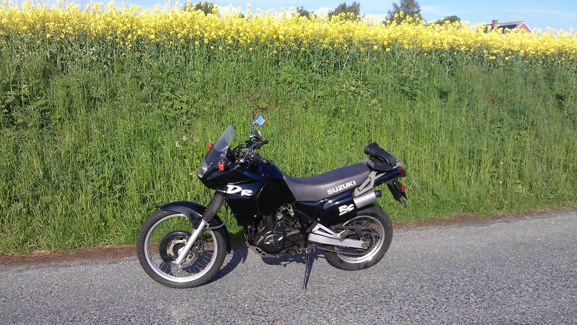 Suzuki DR650 RSE billede 2