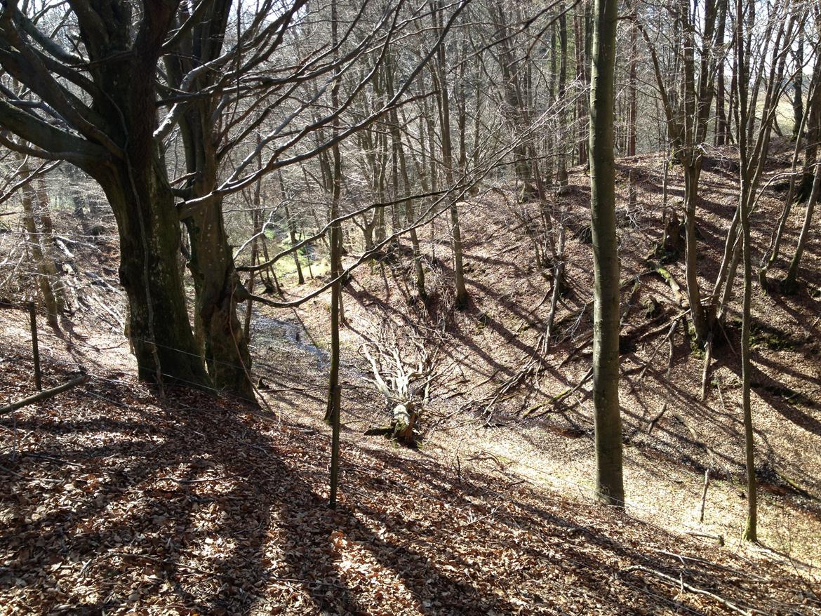 Honda MTX 125 R - Solgt billede 15