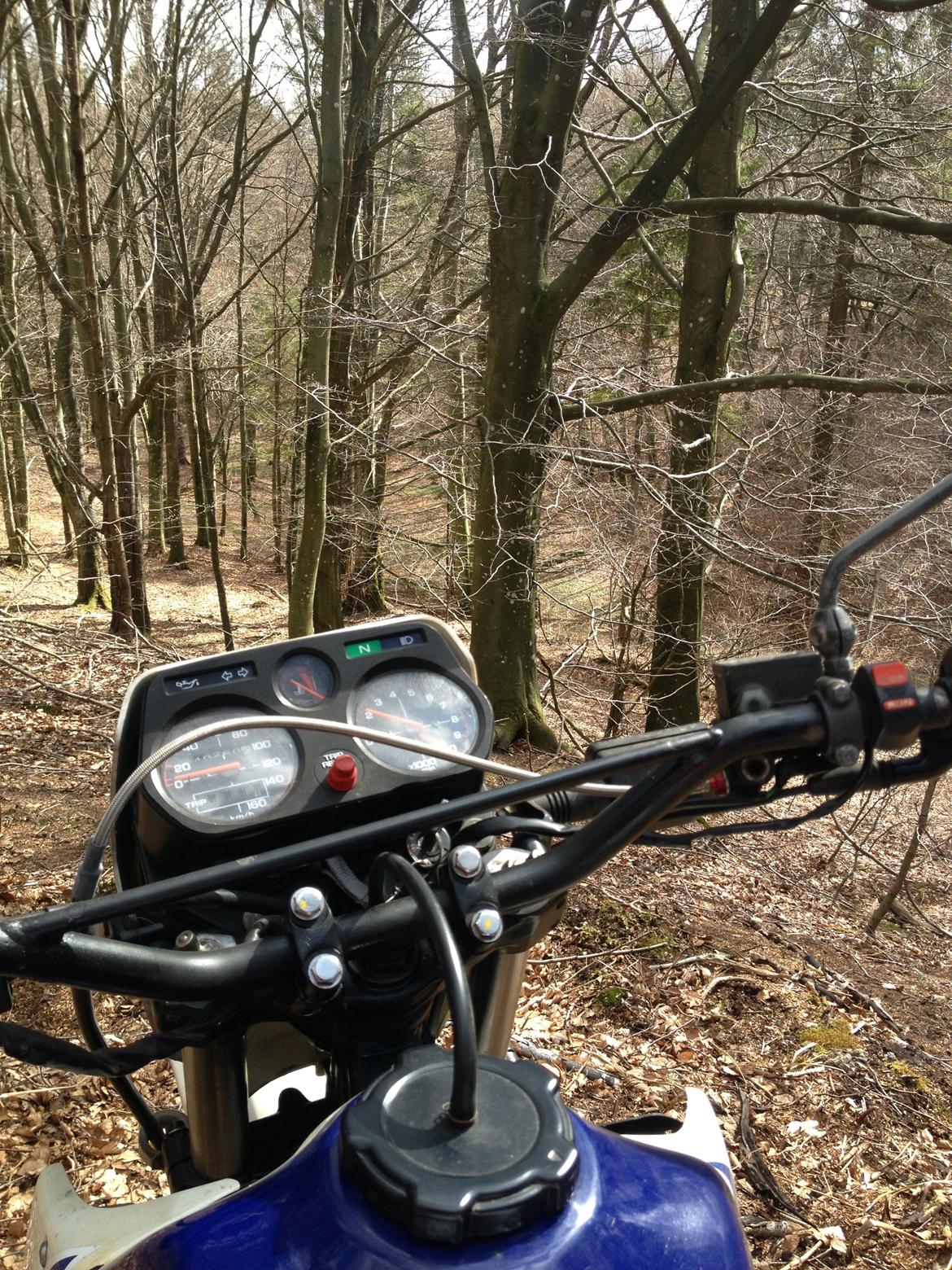 Honda MTX 125 R - Solgt billede 17