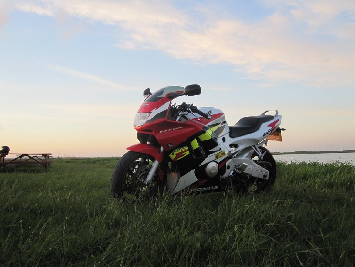 Honda CBR 600 F3 PC31 billede 16