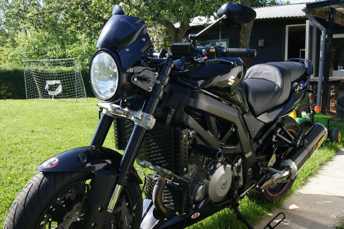 Suzuki SV1000N billede 7