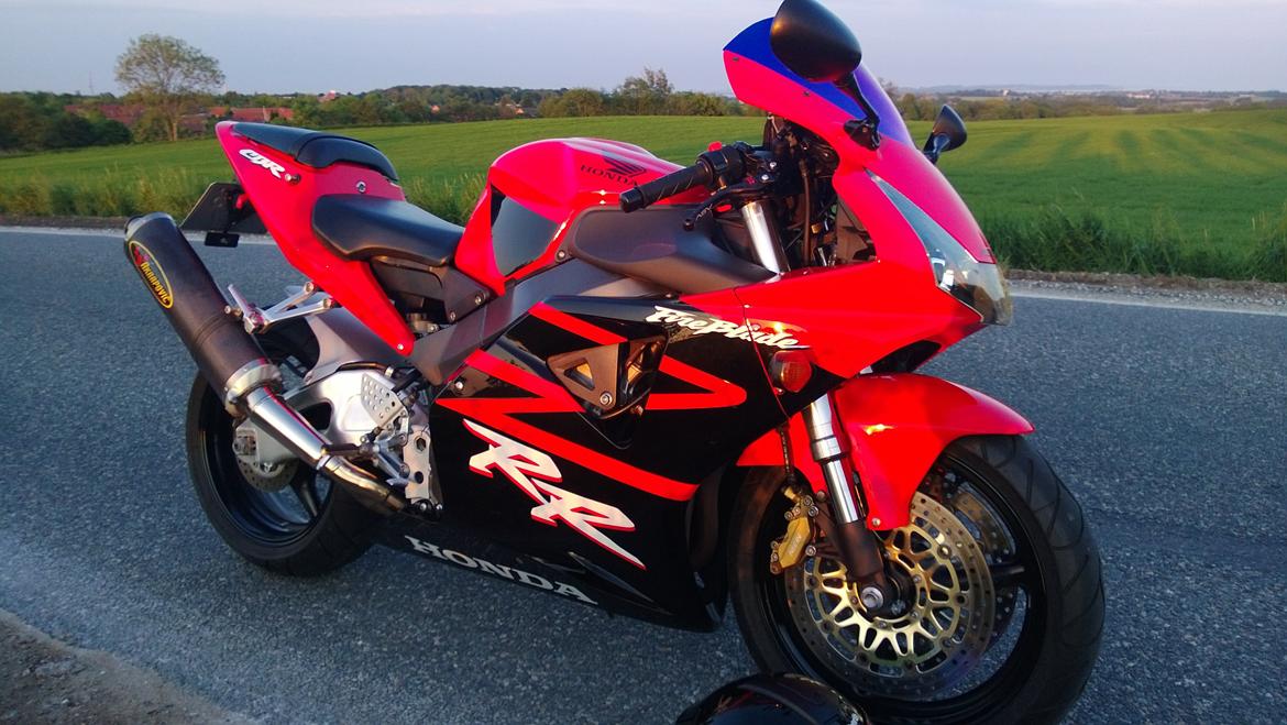 Honda Fireblade 954 billede 1