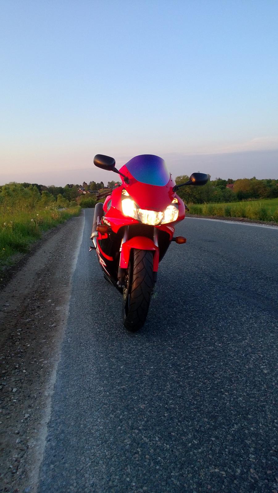 Honda Fireblade 954 billede 5