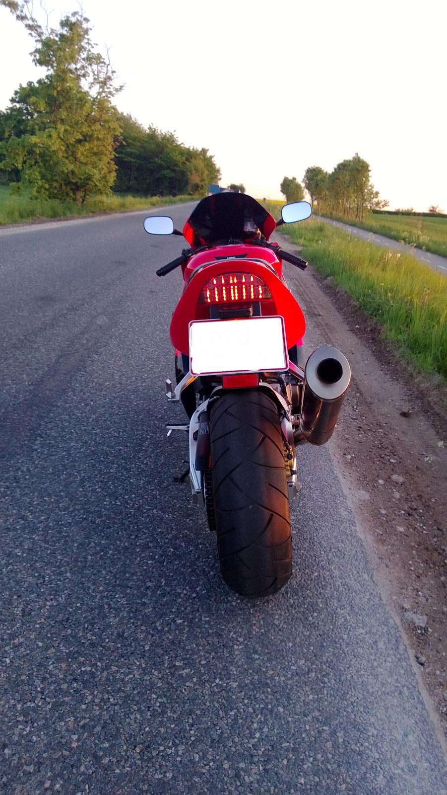 Honda Fireblade 954 billede 8