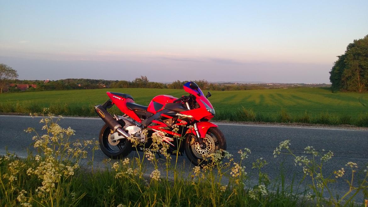 Honda Fireblade 954 billede 20