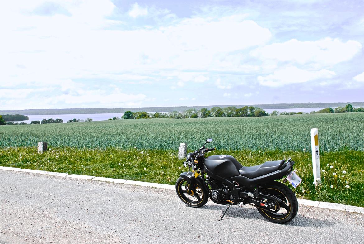 Suzuki GS500E billede 2