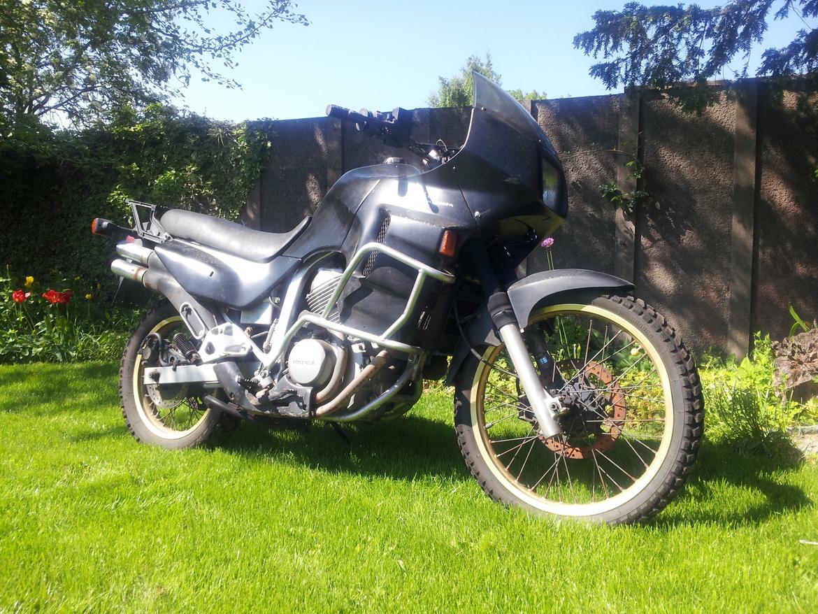 Honda XL 600 V billede 1