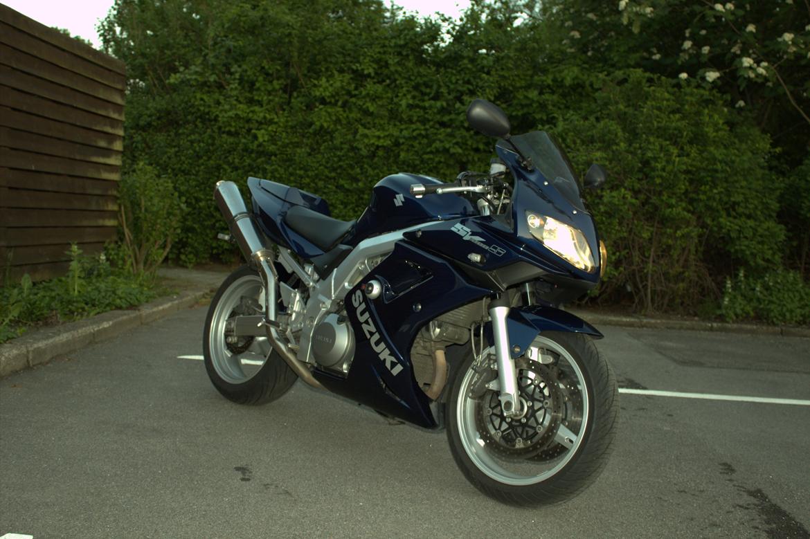 Suzuki SV1000 S billede 4