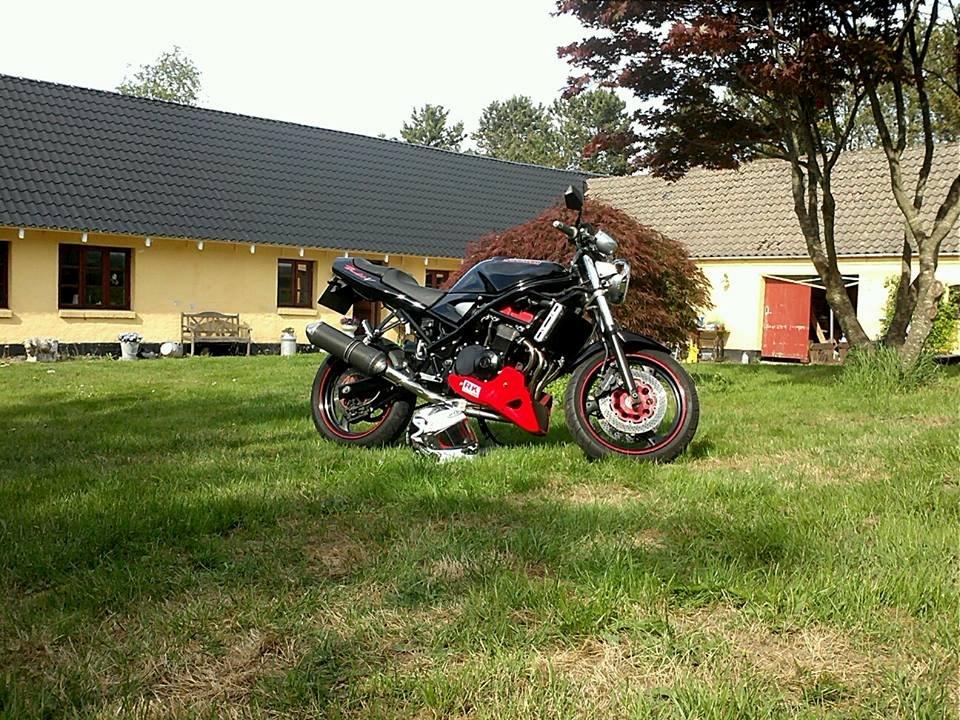 Suzuki bandit VM 400 (GSF) billede 5