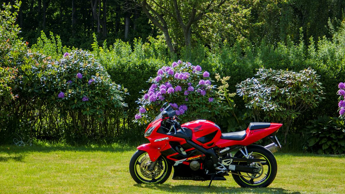 Honda CBR 600 F4i sport billede 14