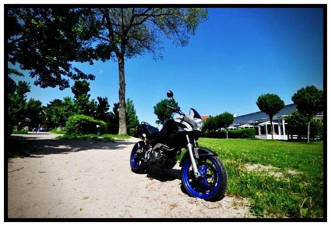 Aprilia Pegaso 650 Strada ***SOLGT*** billede 5