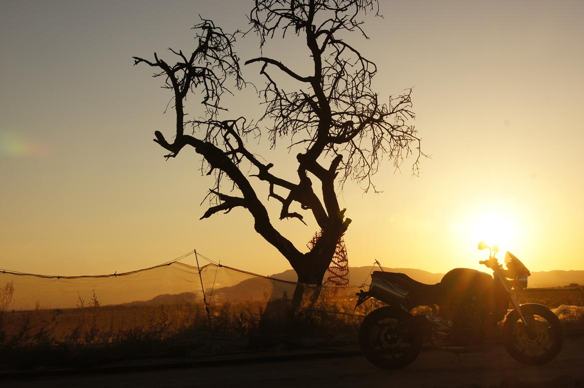 Triumph Street Triple billede 1