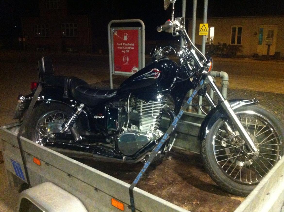 Suzuki LS650 Savage billede 2