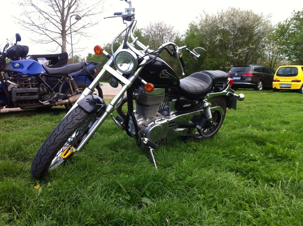 Suzuki LS650 Savage billede 11