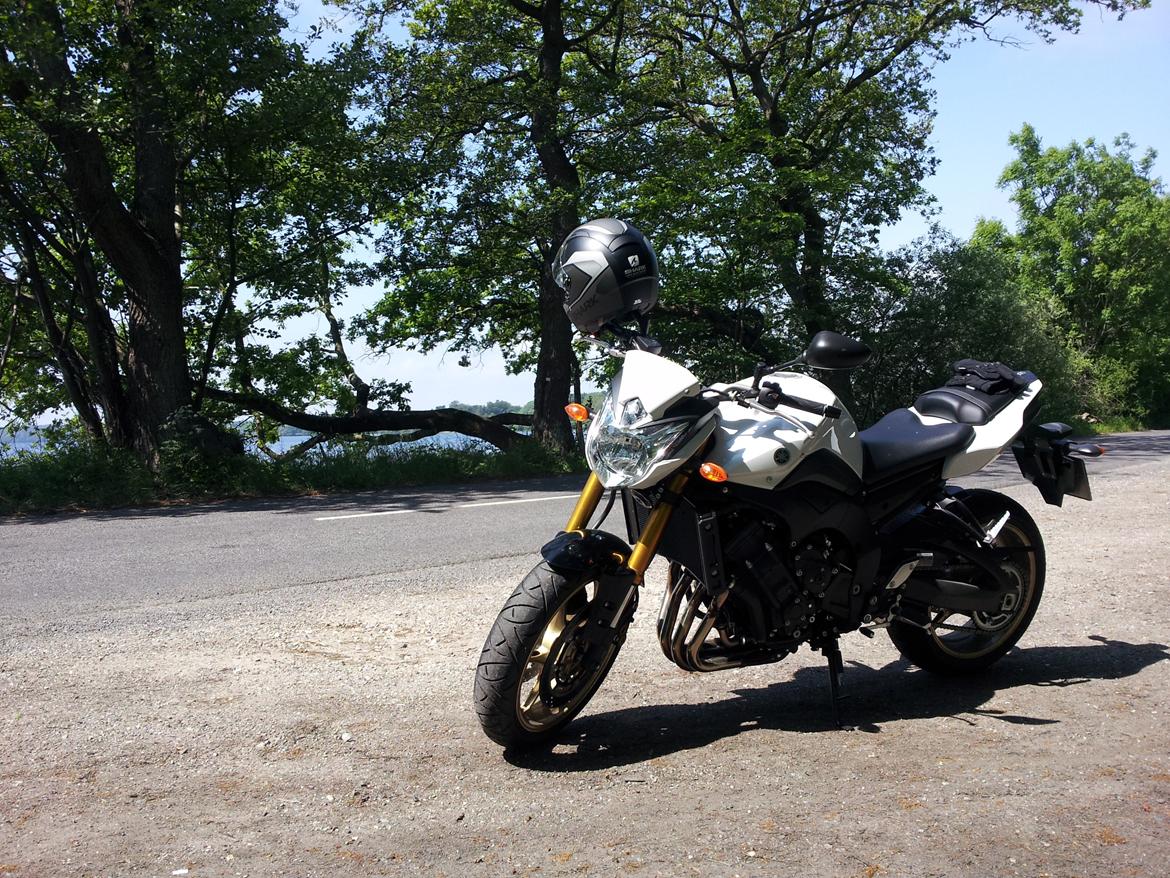 Yamaha FZ8-N billede 4