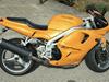 Triumph Daytona 955i [Tidl. motorcykel]