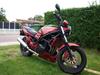 Suzuki GSF Bandit 400 [SOLGT]