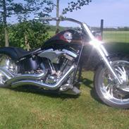 Harley Davidson Customized Fatboy