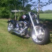 Harley Davidson Customized Fatboy