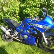 Suzuki GSX 600 F