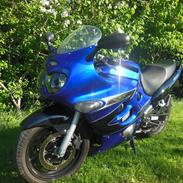 Suzuki GSX 600 F