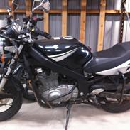 Suzuki gs 500