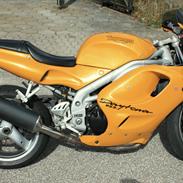 Triumph Daytona 955i