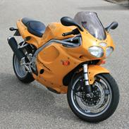 Triumph Daytona 955i